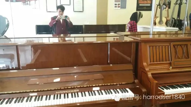 哈罗德钢琴