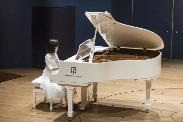中国实木钢琴市场持续升温 Harrodser钢琴独领风骚